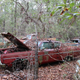 Illustration for article titled GHOST CARS ROTTING IN THE MISSISSIPPI SWAMP